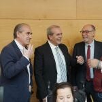 Agustín Sánchez de Vega comparece en las Cortes regionales