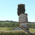 El nido viral de unas cigüeñas de Burgos