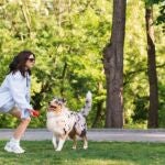 Este es el único horario para sacar a tu perro sin correa por los parques en Madrid