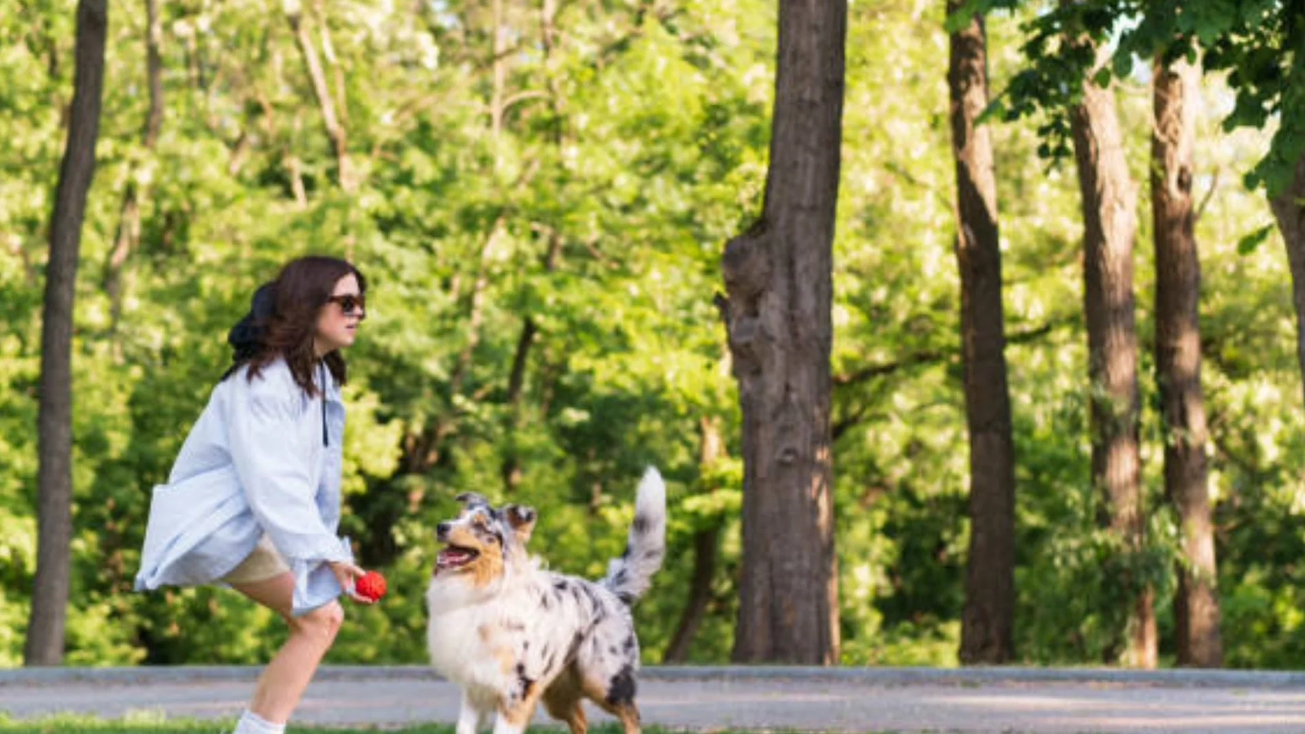 Mujer joven jugando a buscar con su perro pastor australiano en Green Park