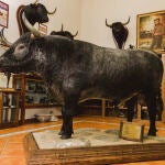 “Belador” vuelve a Las Ventas: así será el homenaje a Victorino Martín el 26 de mayo