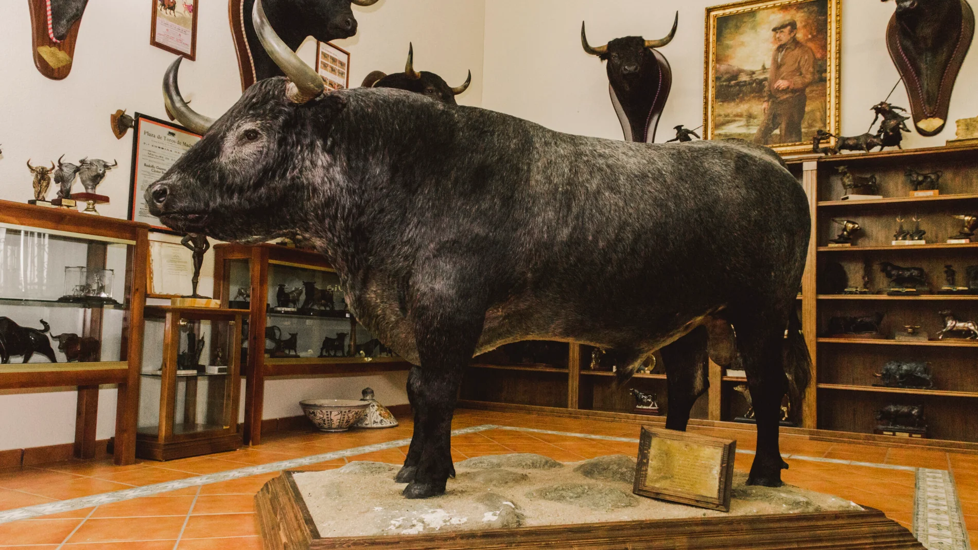 “Belador” vuelve a Las Ventas: así será el homenaje a Victorino Martín el 26 de mayo