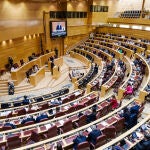 El PP vuelve a llevar a la sesión de control del Senado el rescate de Air Europa y los mensajes de Ábalos
