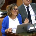 Milagros Marcos exige al Gobierno que cumpla con la regulación en materia de energía