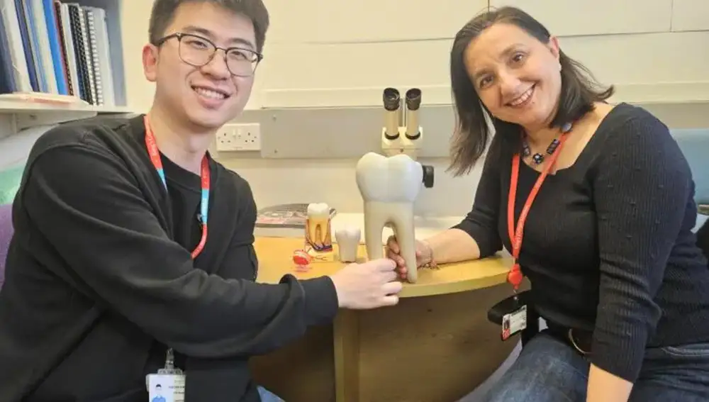 Xuechen Zhang y Ana Angelova, autores del primer tratamiento para regenerar dientes humanos