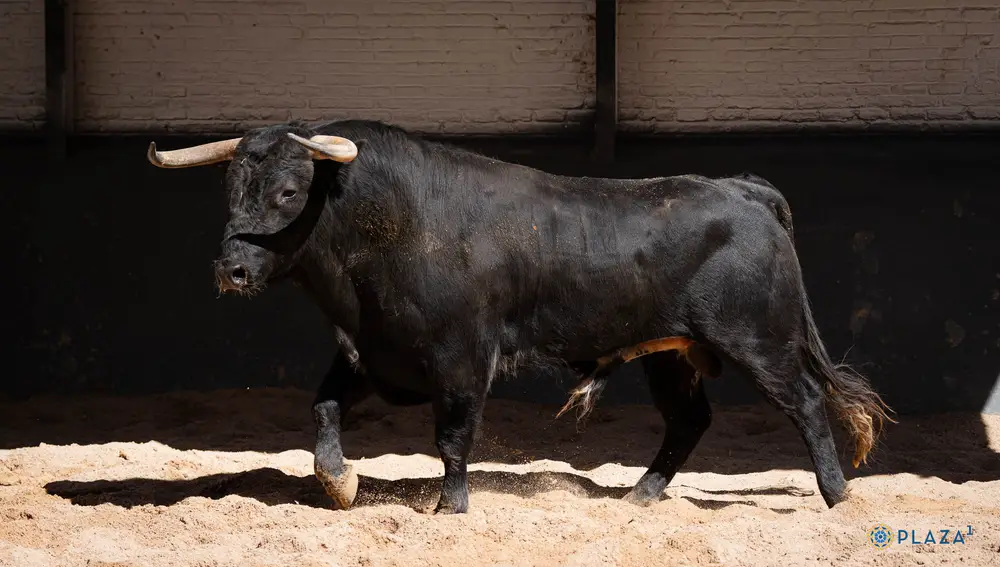 "Carcelero", nº 57