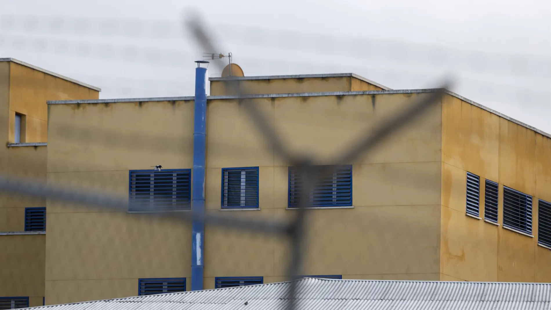El Gobierno confirma una "campaña preventiva de fumigación" en CIE de Aluche (Madrid) ante la denuncia de chinches
