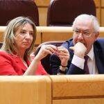 El PP recuperará hoy en el Senado leyes para impedir 'ongi etorri' y que los etarras vayan en listas electorales