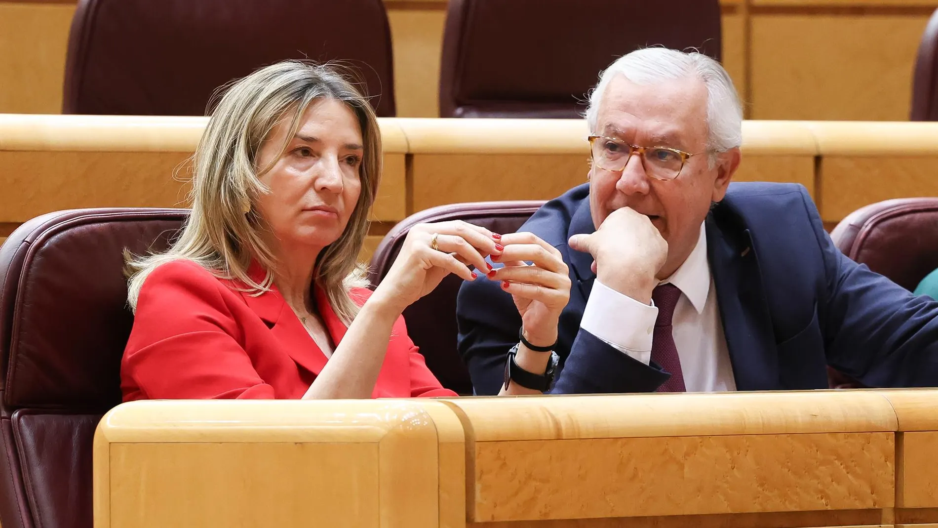 El PP recuperará hoy en el Senado leyes para impedir 'ongi etorri' y que los etarras vayan en listas electorales