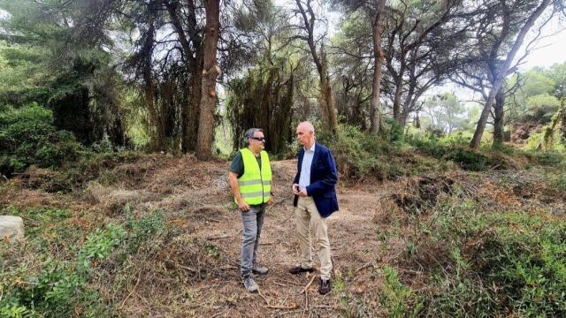 El Ayuntamiento impulsa por primera vez un servicio específico de limpieza del monte de la Devesa del Saler
