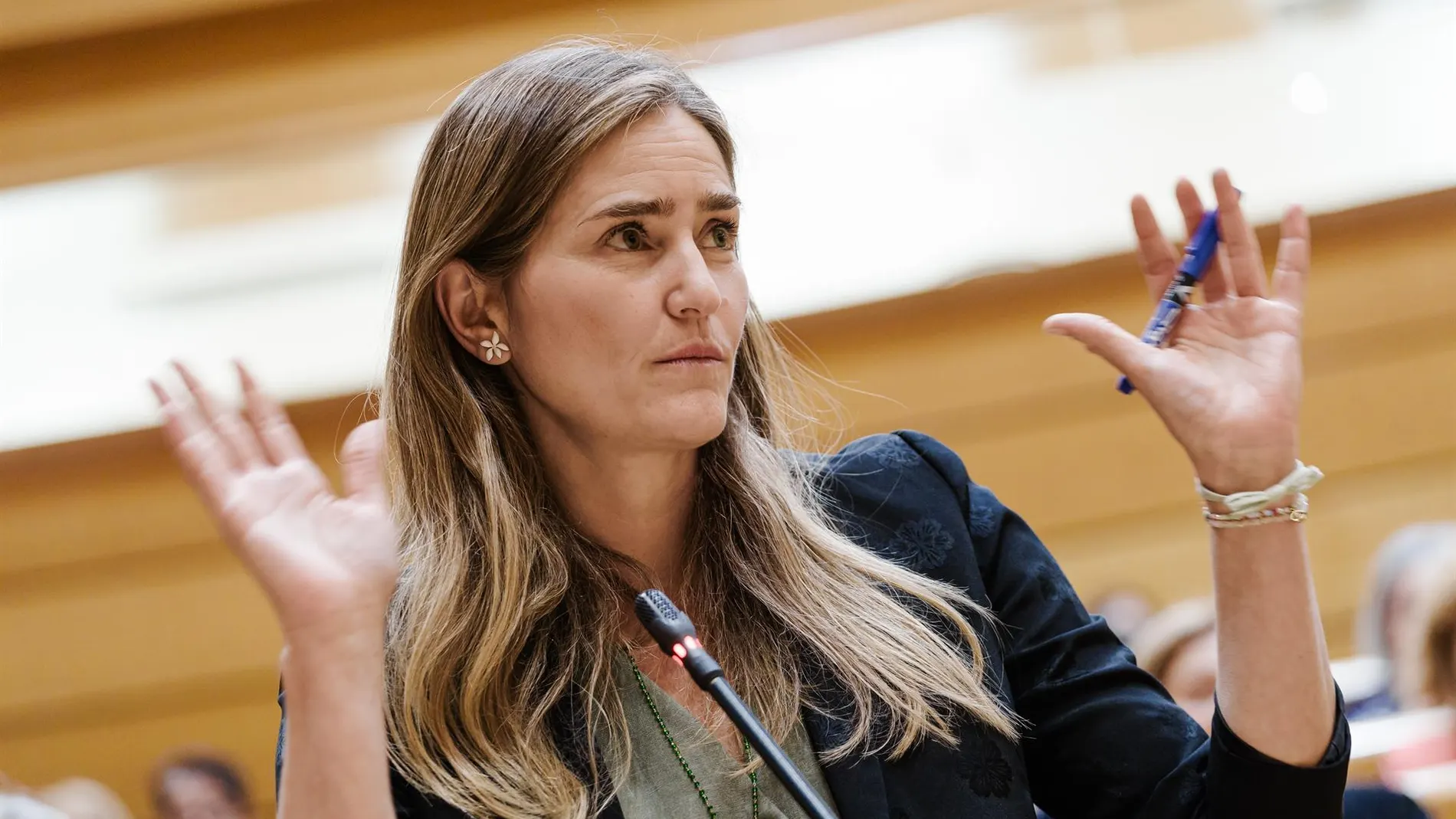 Aagesen defiende que el Gobierno estuvo en el apagón "donde tenía que estar"