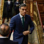 Sesión de control al Gobierno