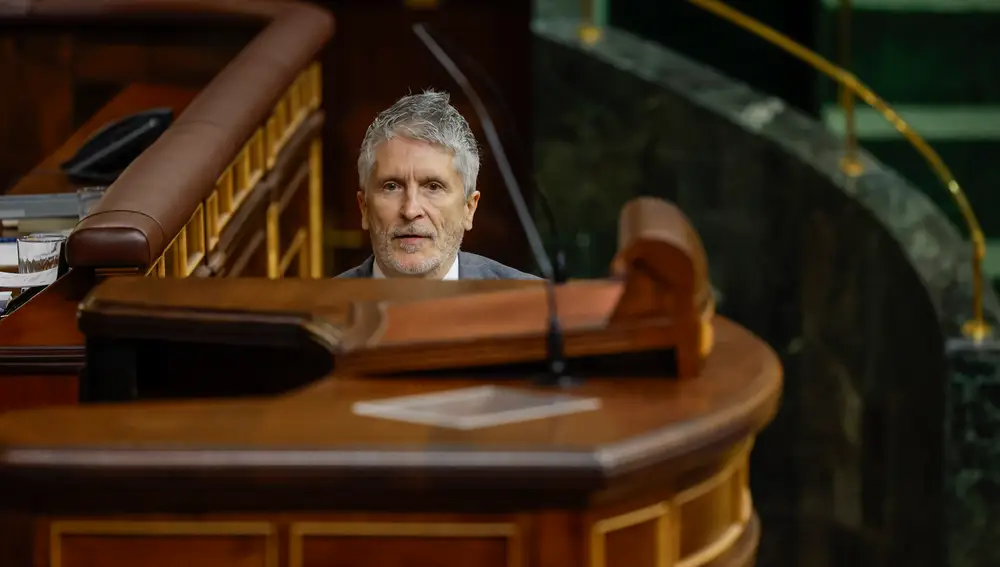 Comprecencia de Grande Marlaska