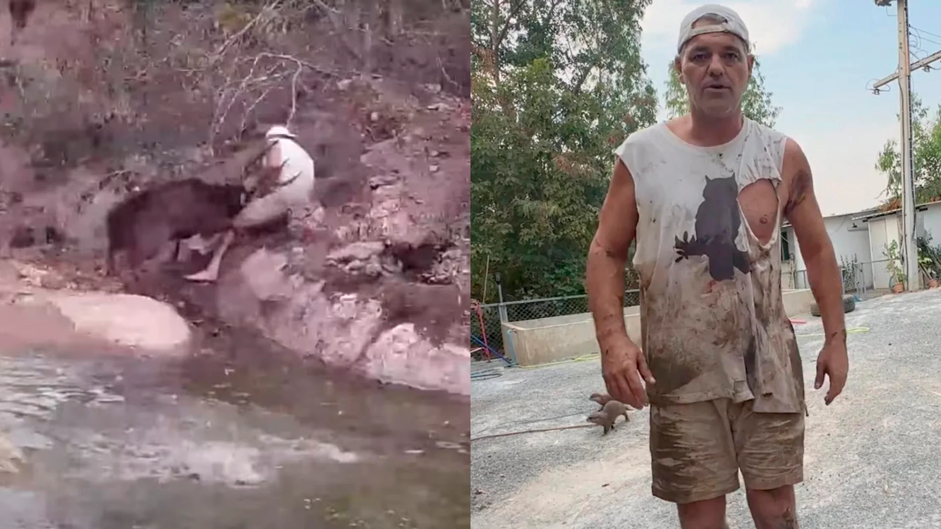 El alumno de Frank Cuesta que le defendió habla sobre el ciervo que atacó al animalista y asegura que él le hubiese sacrificado
