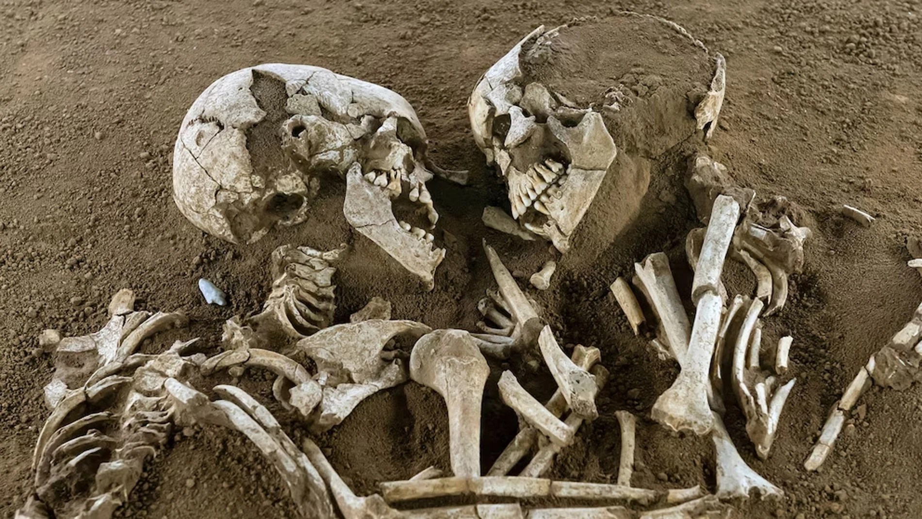 Hallazgo histórico: los "Amantes de Valdaro" y la historia de cómo acabaron abrazados bajo tierra durante más de 5.000 años