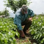 Banco Santander refuerza su apoyo al sector agroalimentario español