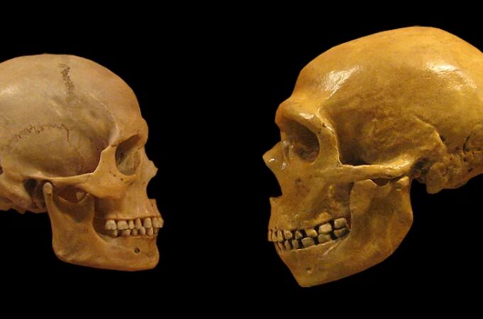 Sapiens y neandertales, cara a cara