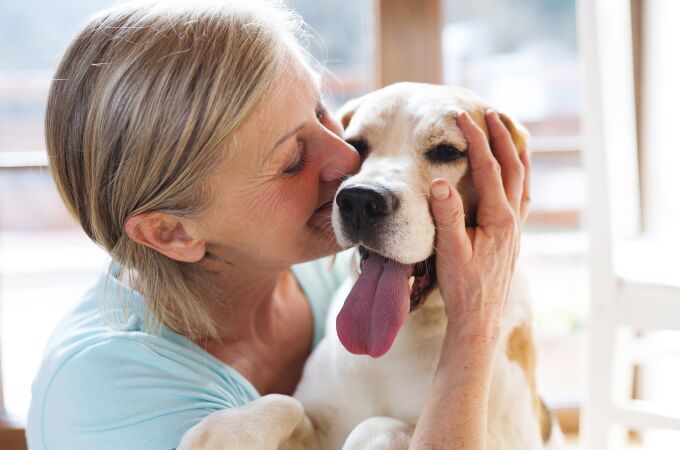 Las 4 razas de perros que se vinculan estrechamente con una persona