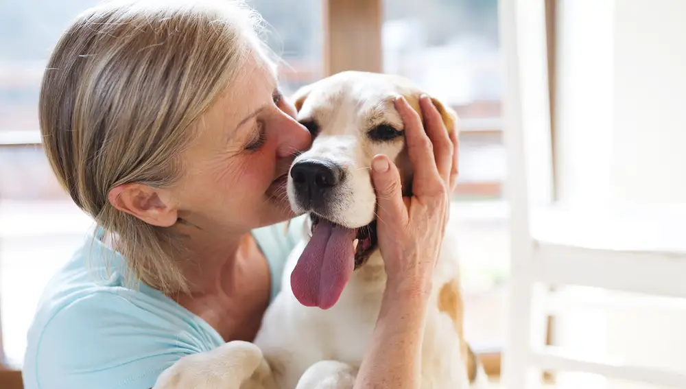 Las 4 razas de perros que se vinculan estrechamente con una persona
