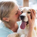 Las 4 razas de perros que se vinculan estrechamente con una persona