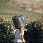 Save the Children alerta de la pobreza laboral en Andalucía