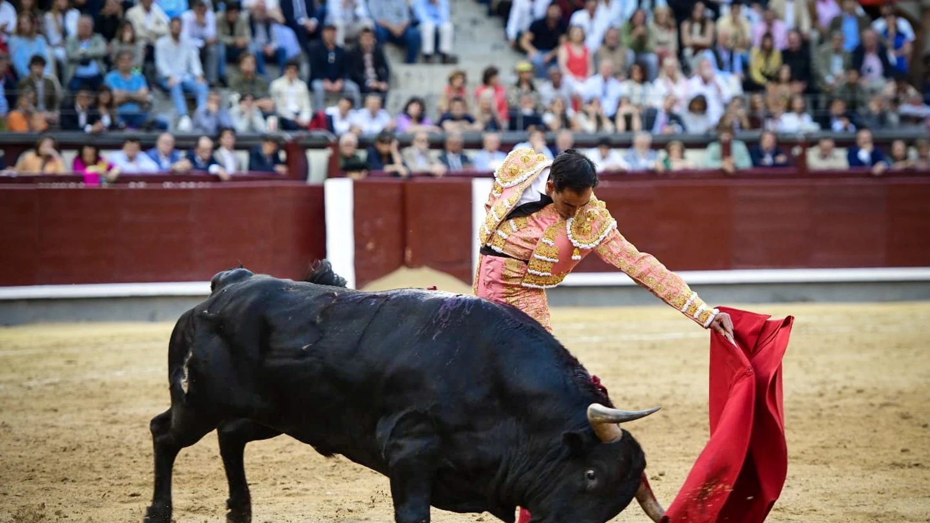 El diestro Saúl Jiménez Fortes