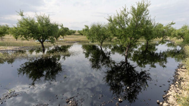 Vertido de petróleo en Calasparra (Murcia) por rotura en una tubería de la empresa Repsol