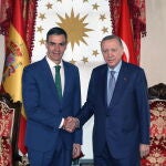 Spanish Prime Minister Sanchez meets Turkish President Erdogan in Istanbul