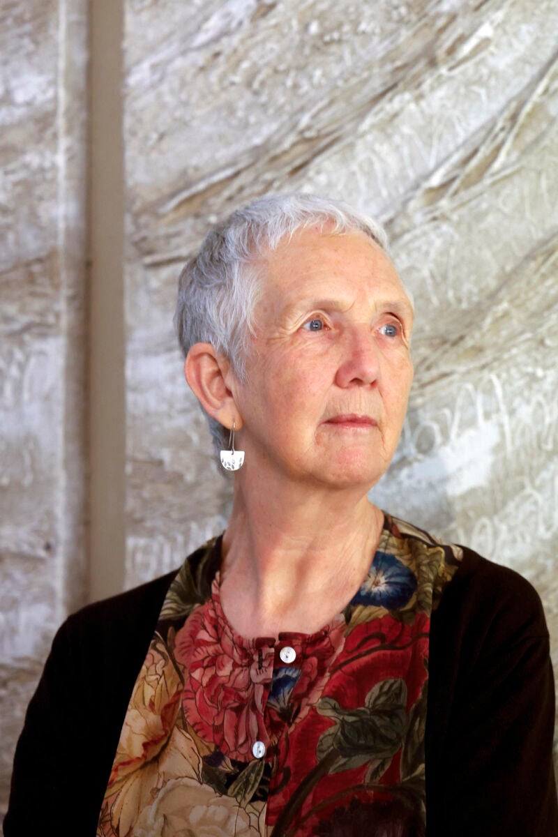 Anne Cleeves