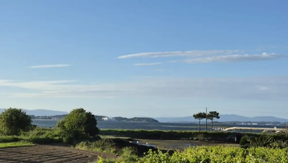 Ensenada de Arnosa.
