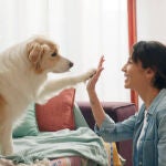 Razas de perros baratas 2025: estos son los 10 tipos de perros con los seguros más económicos