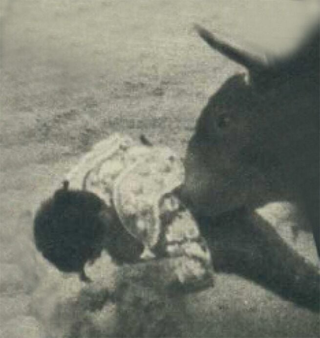 Julián de la Mata, herido