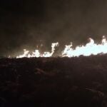 Incendio forestal en Jaén