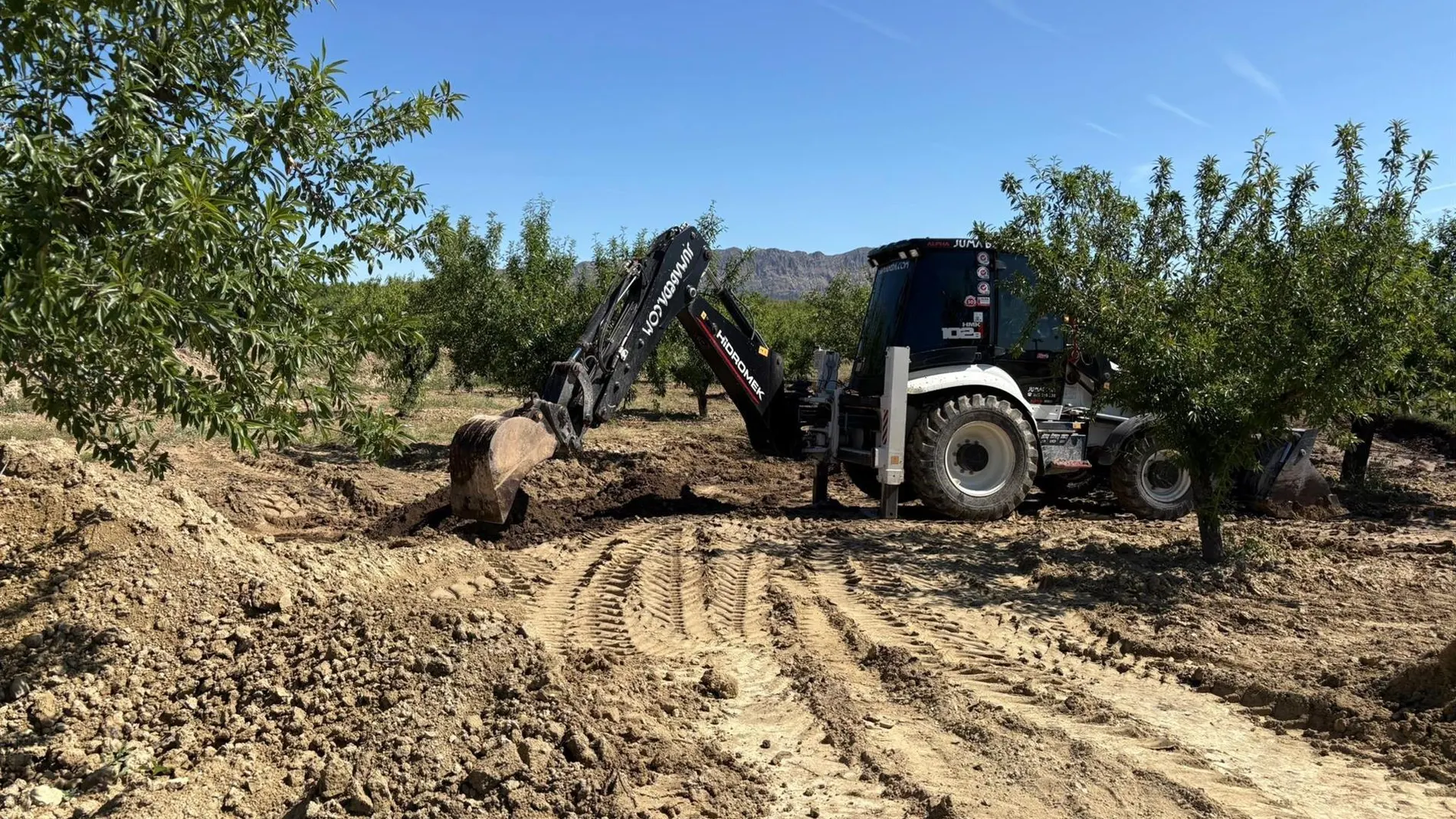 MURCIA.-Continúan los trabajos de limpieza del vertido de crudo en una finca agrícola de Calasparra