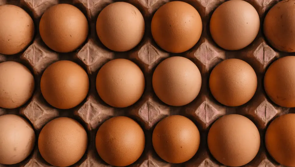 ¿Por qué no deberías tirar el cartón de maple de huevos?