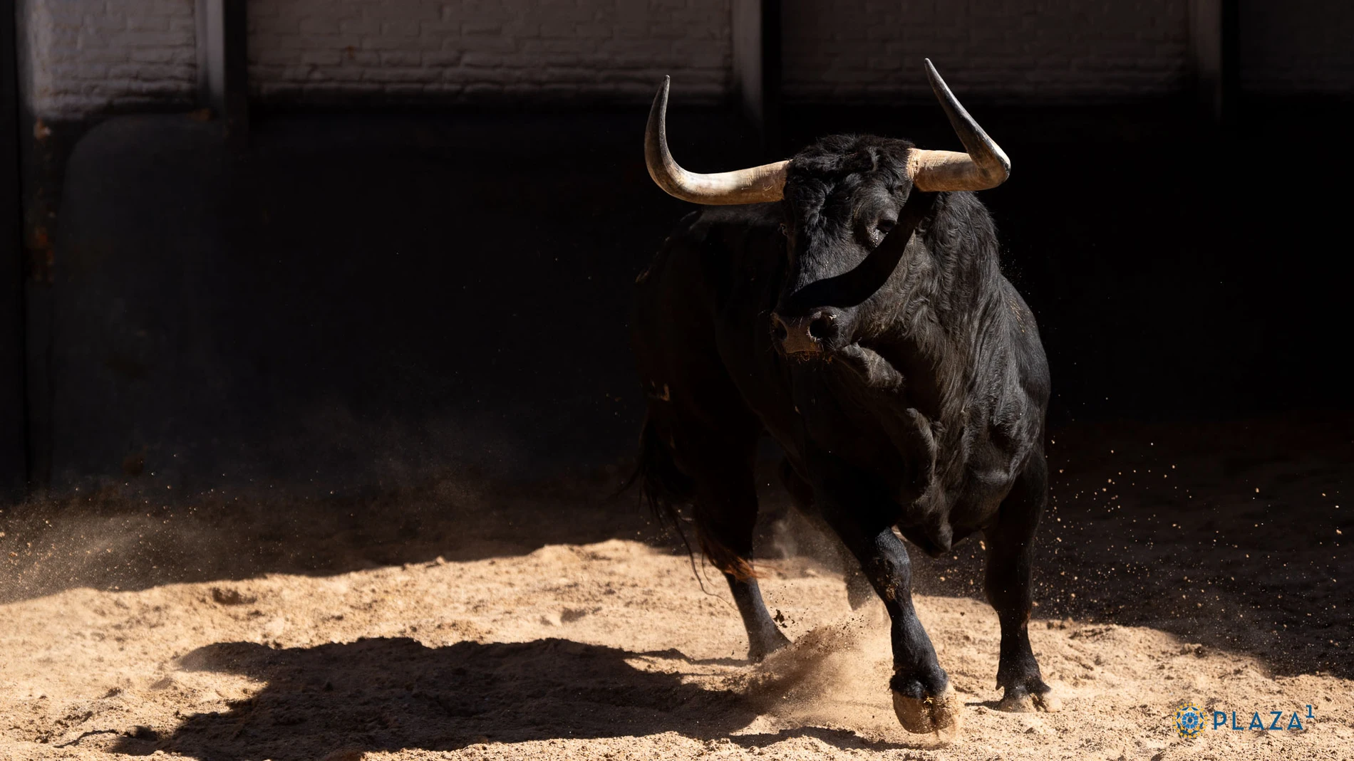 Estos son los toros elegidos para el mano a mano más esperado en Las Ventas