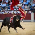 Román en las Ventas