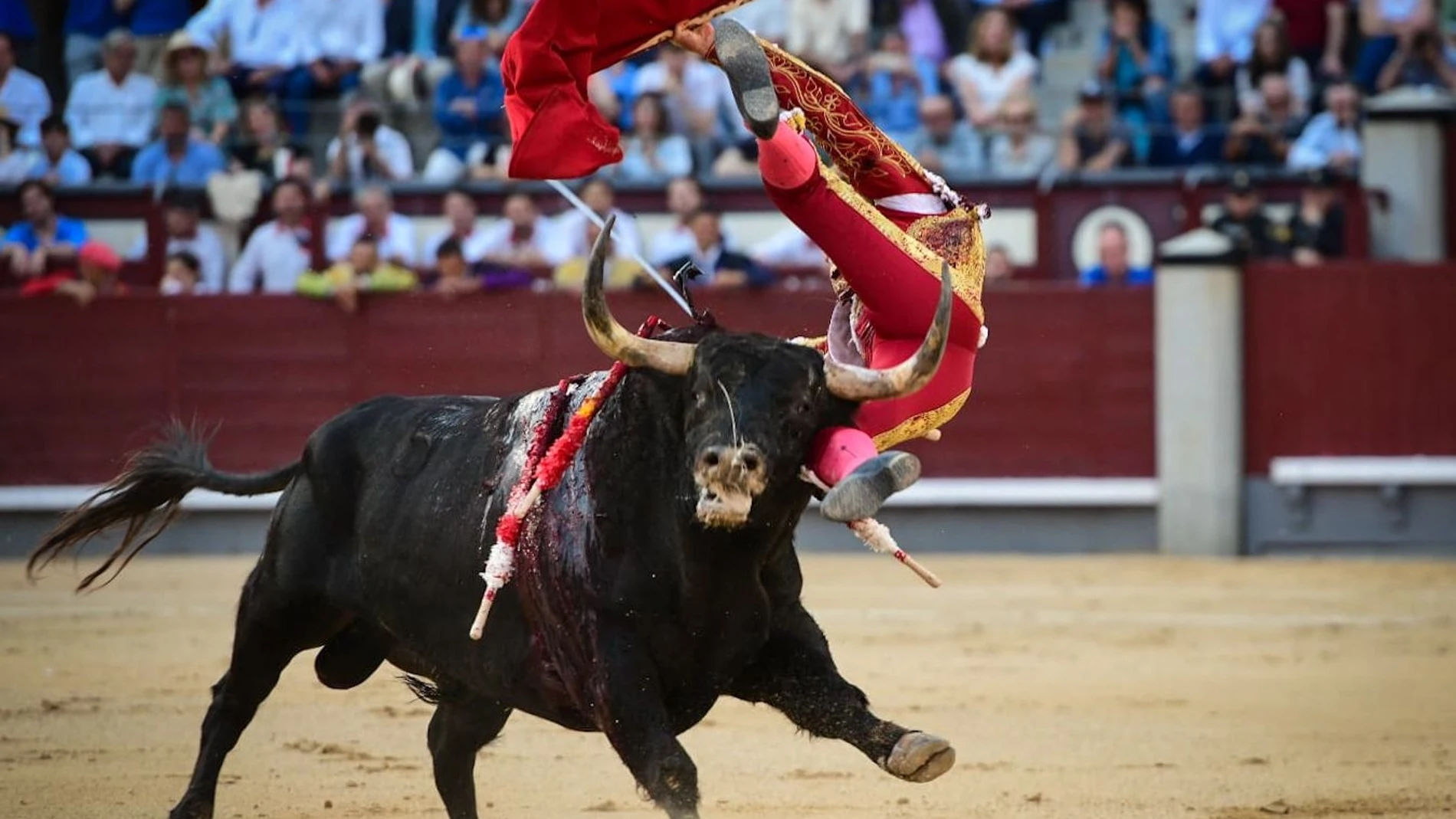 Román en las Ventas