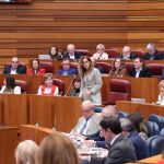 La procuradora del PSOE, Virginia Jiménez, interviene en las Cortes