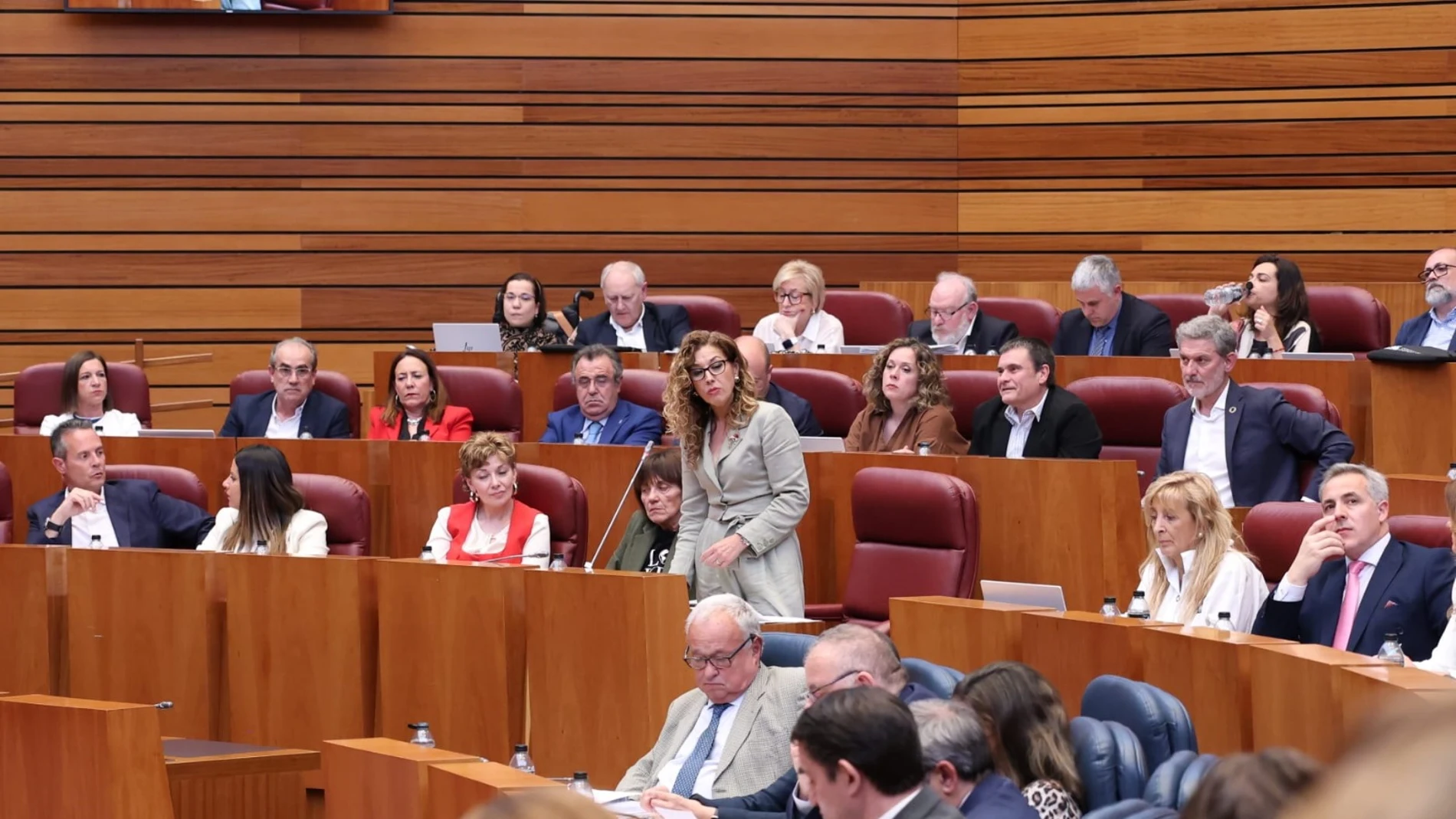 La procuradora del PSOE, Virginia Jiménez, interviene en las Cortes