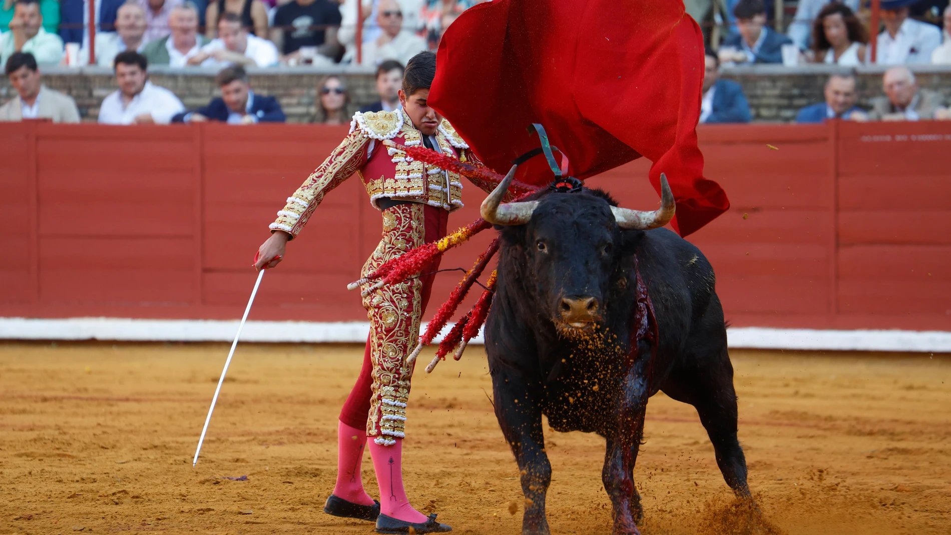 CÓRDOBA (ANDALUCÍA), 25/05/2025.- El torero Manuel Román lidia un toro este domingo, durante la segunda corrida del abono de la feria taurina de Nuestra Señora de la Salud en Córdoba. EFE/ Salas