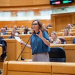 El Gobierno responde en el Senado sobre los problemas de la red ferroviaria y los fondos Next Generation 