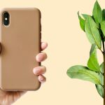 ¿Por qué hay que poner una hoja de laurel en la funda del móvil? El motivo te va a sorprender