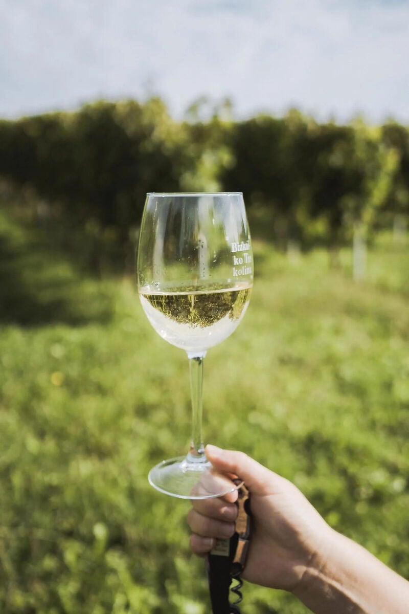 Txakoli de Bizkaiko Txakolina