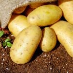 Las patatas se mantendrán frescas durante 4 meses sin brotar si se conservan en este lugar inusual
