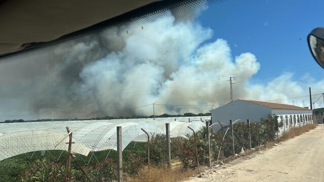 Imagen del incendio del paraje La Malvina de Moguer (Huelva)