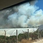 Imagen del incendio del paraje La Malvina de Moguer (Huelva)