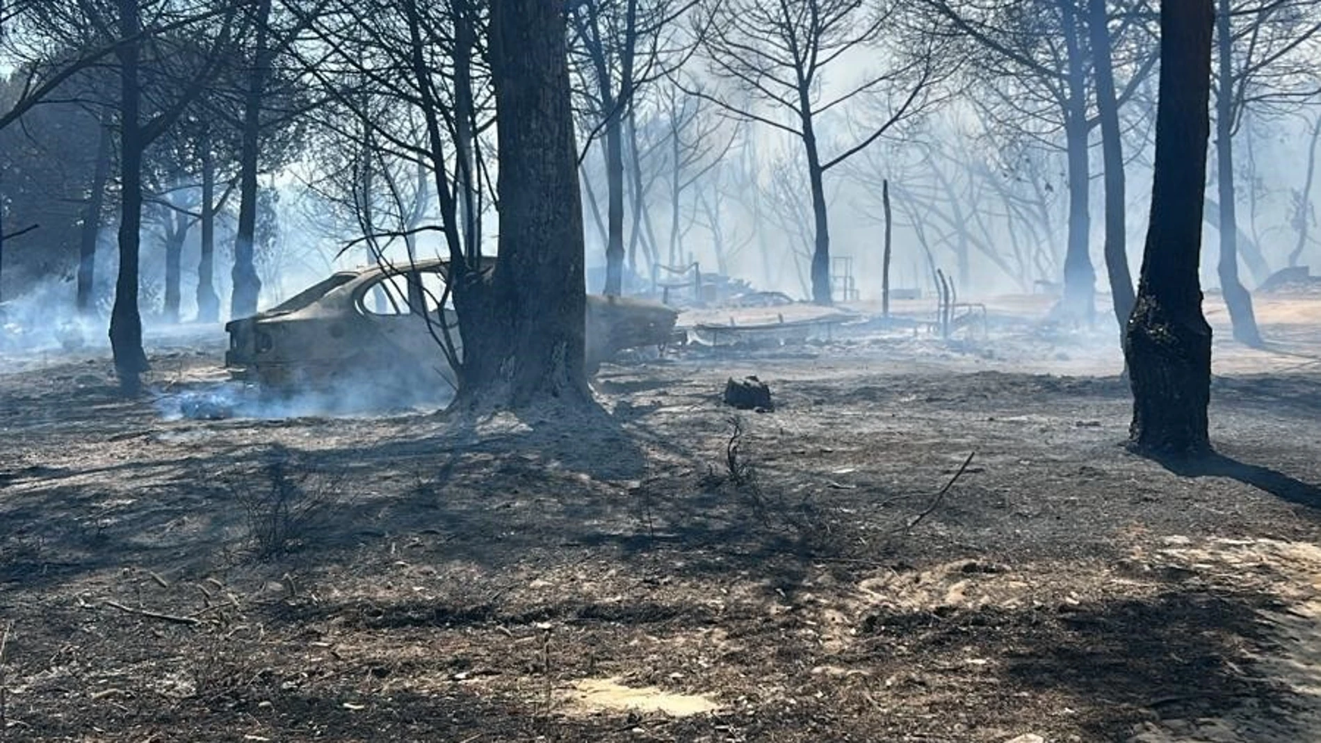 Imagen de la zona afectada por el incendio forestal de Moguer (Huelva).