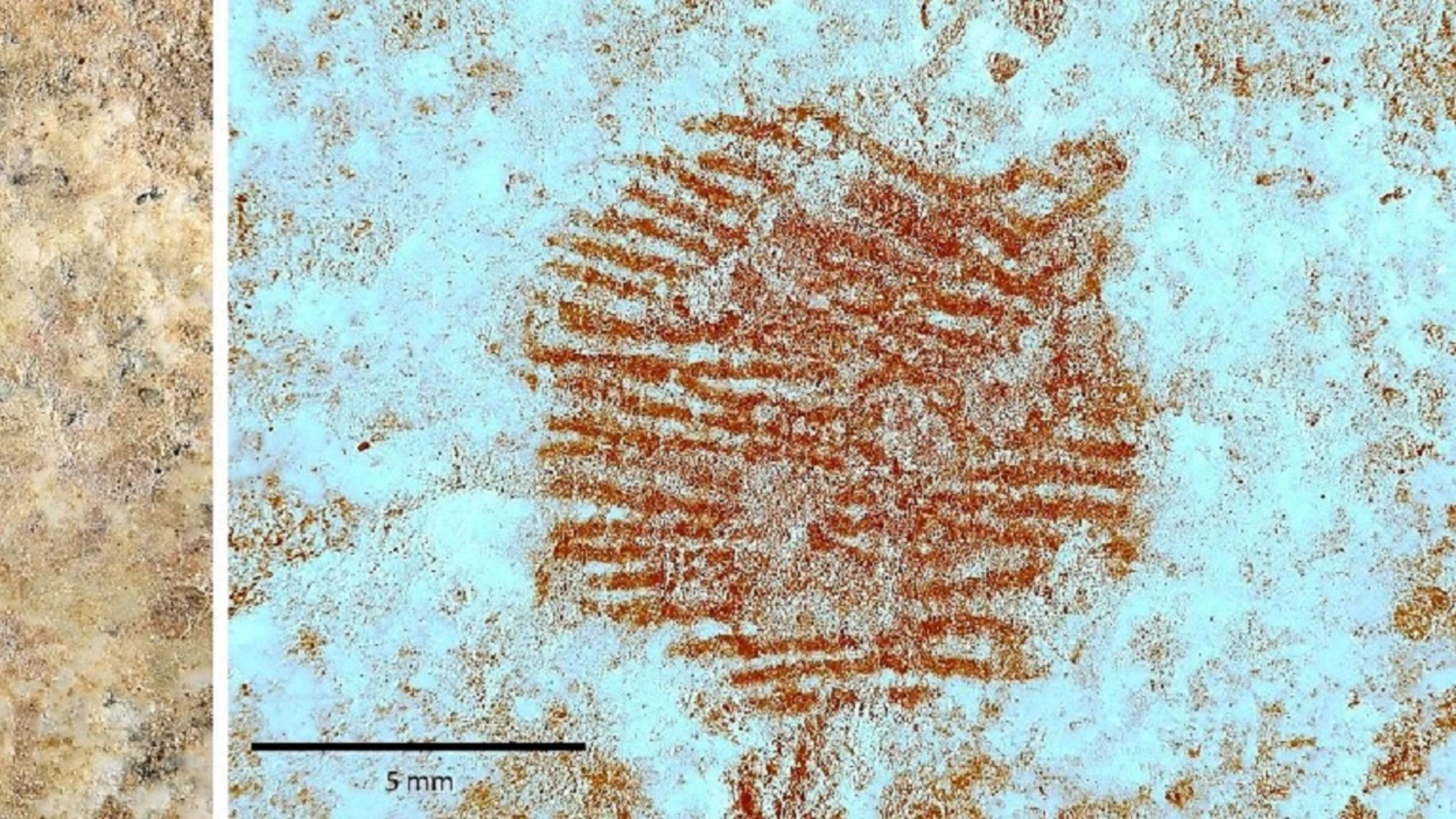 Detalle del punto rojo (izquierda) y la imagen dermatoglífica obtenida mediante el análisis multiespectral del punto rojo (derecha).