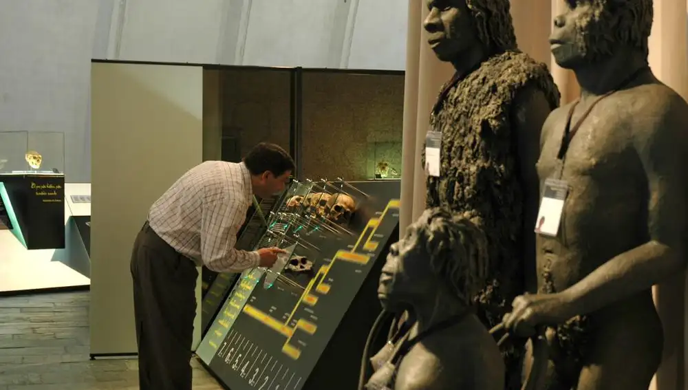 Exposición de la Domus